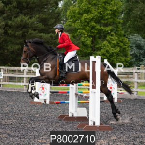 Priory Show Jumping 11/07/21